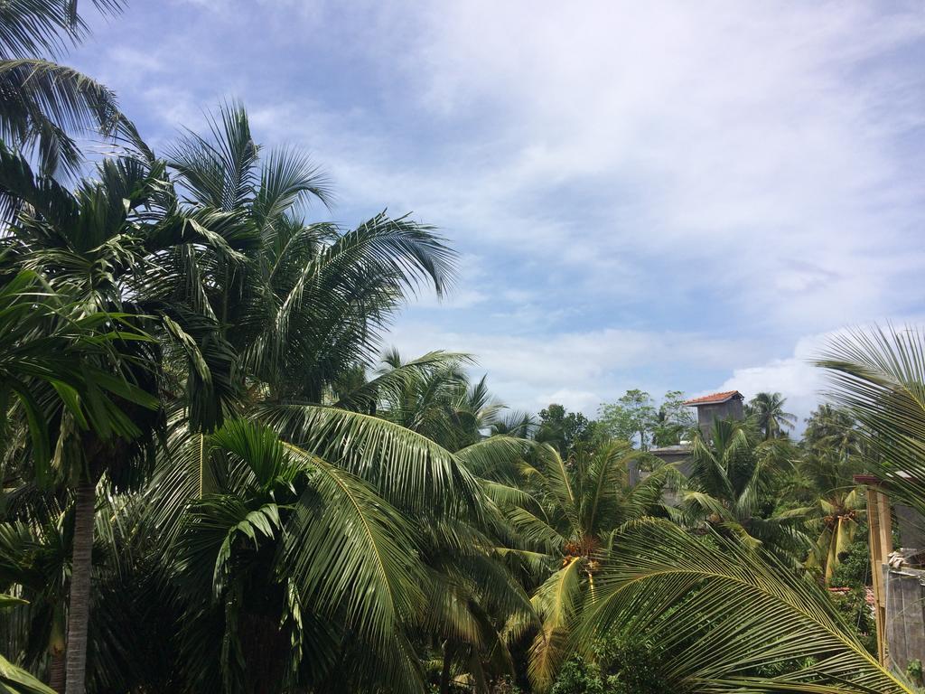 Hansa Villa Unawatuna Exterior foto